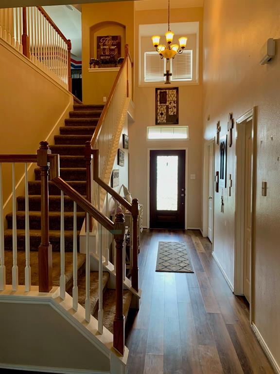 5004 Colmesneil Street, Pearland, Texas image 23