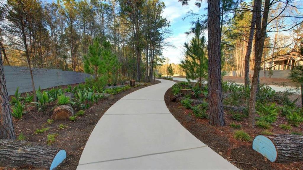 18455 Chameleon Court, Conroe, Texas image 16