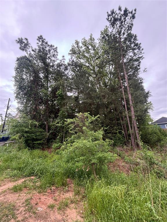16939 Balmoral Street, Montgomery, Texas image 1