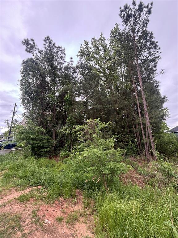 16939 Balmoral Street, Montgomery, Texas image 2
