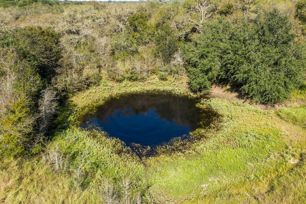 County Rd 407, Gonzales, Texas image 11