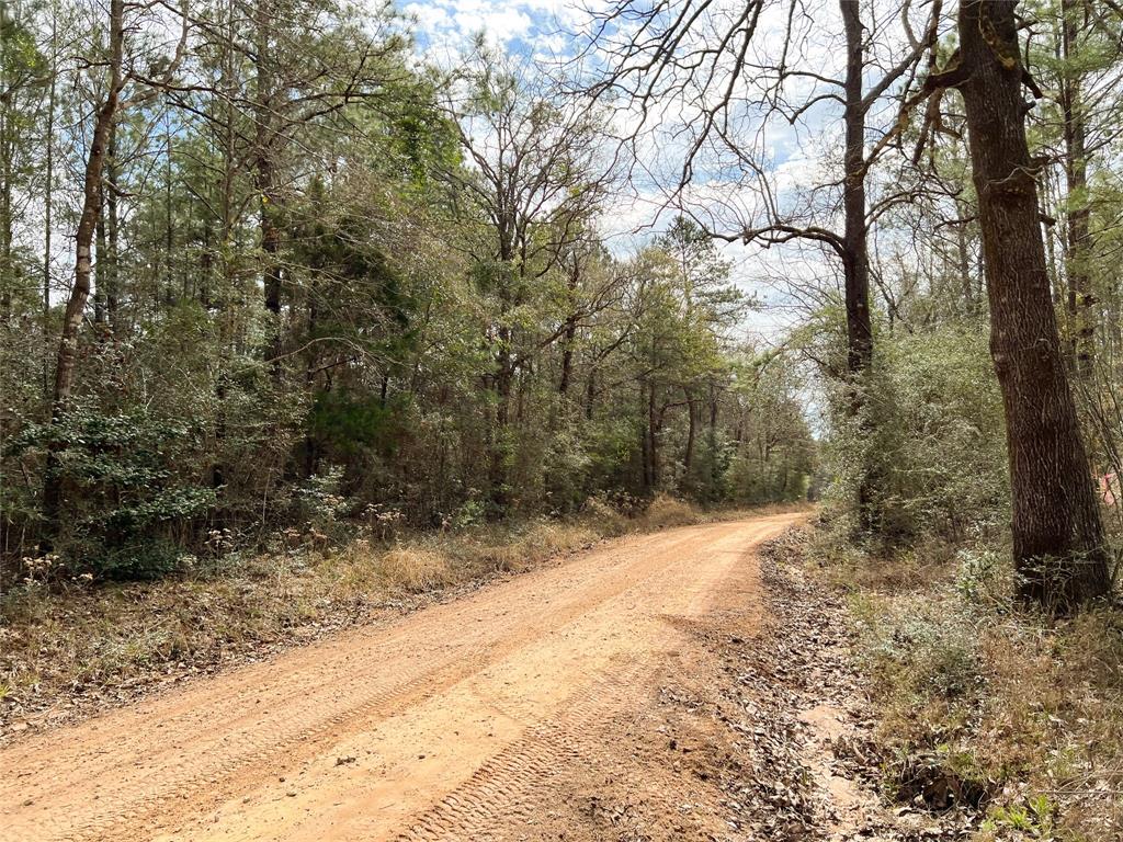 00000 Cr 4415, Spurger, Texas image 13