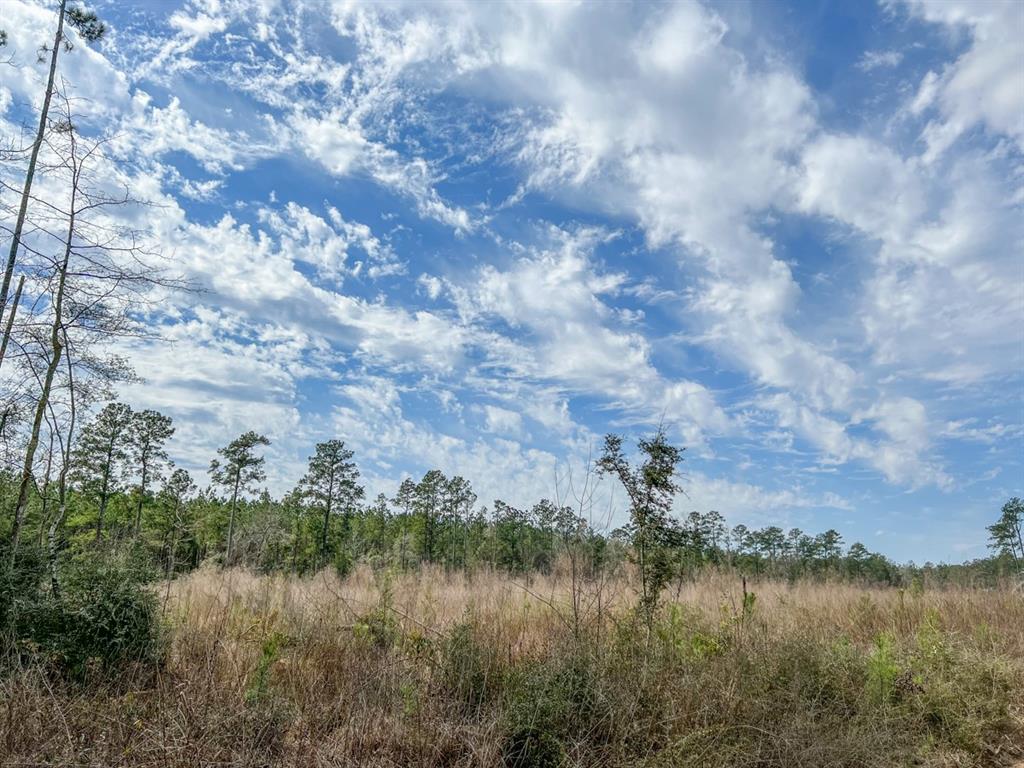 00000 Cr 4415, Spurger, Texas image 18