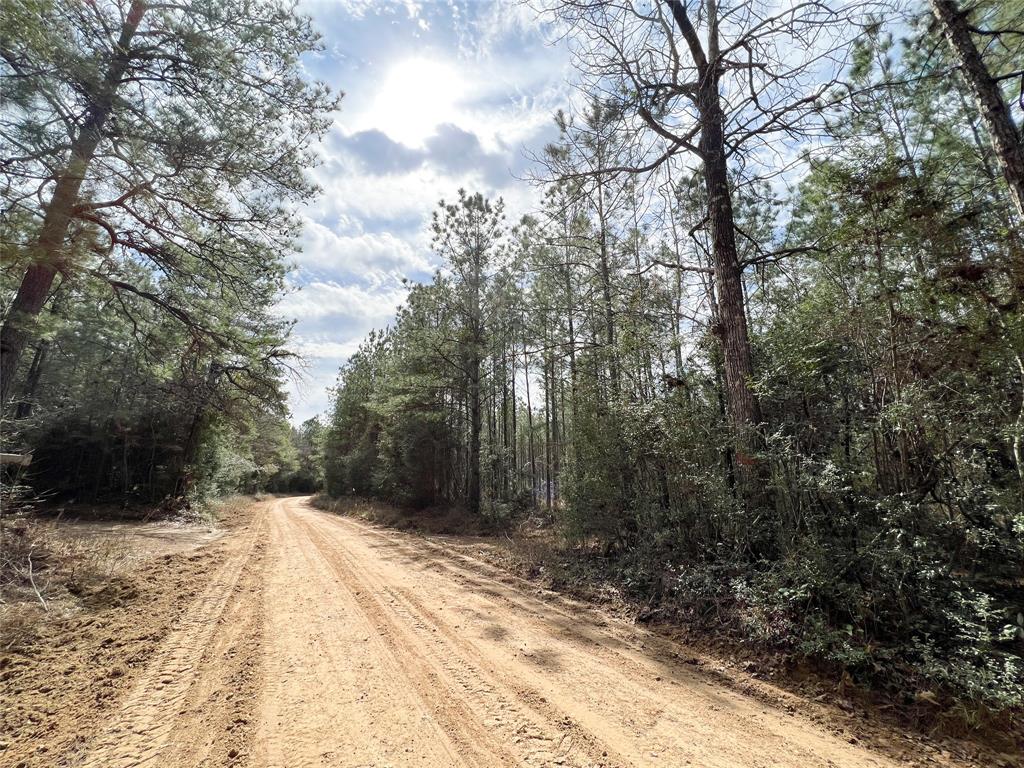 00000 Cr 4415, Spurger, Texas image 15