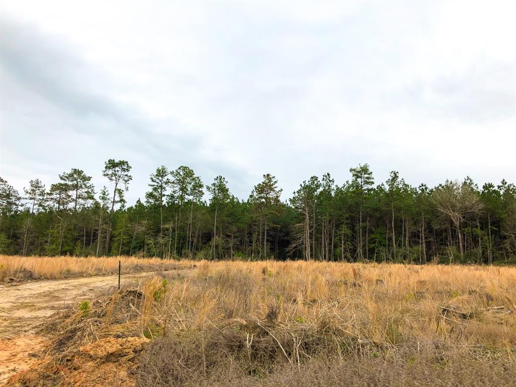 00000 Cr 4415, Spurger, Texas image 8