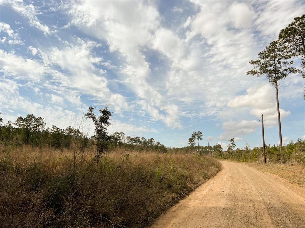 00000 Cr 4415, Spurger, Texas image 24