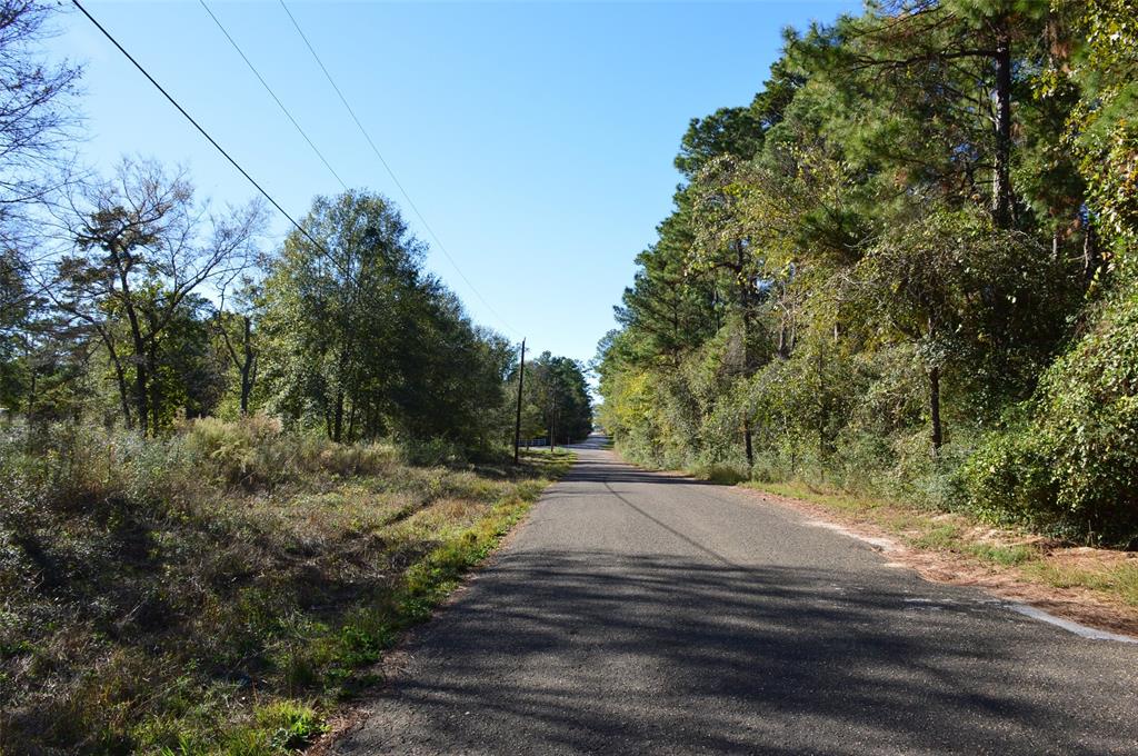 Tract #1 County Road 302, Plantersville, Texas image 27