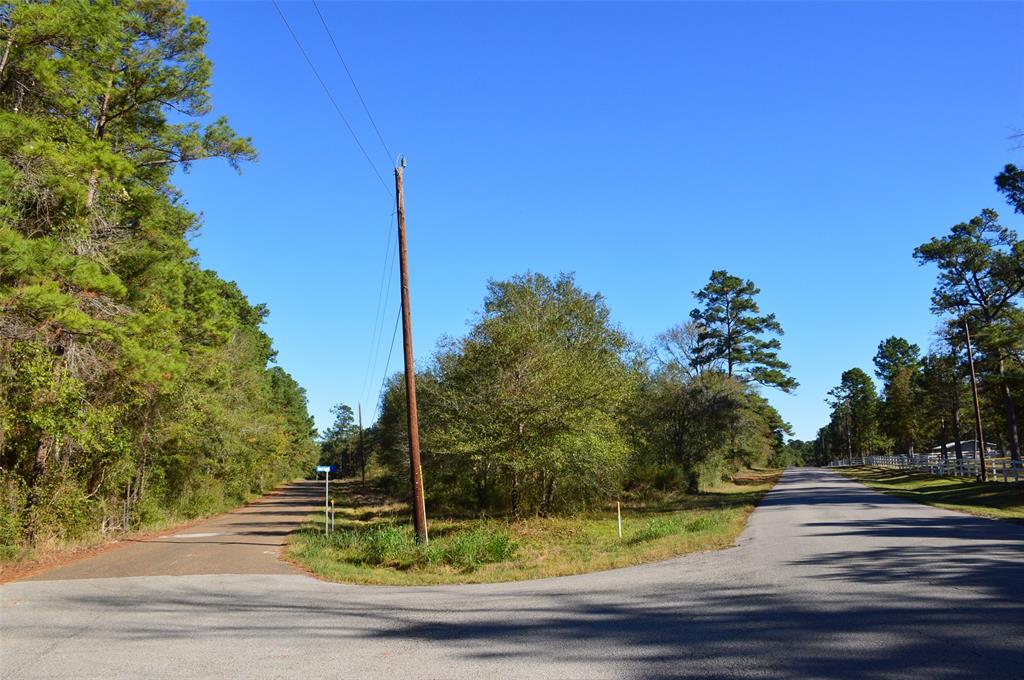 Tract #1 County Road 302, Plantersville, Texas image 28