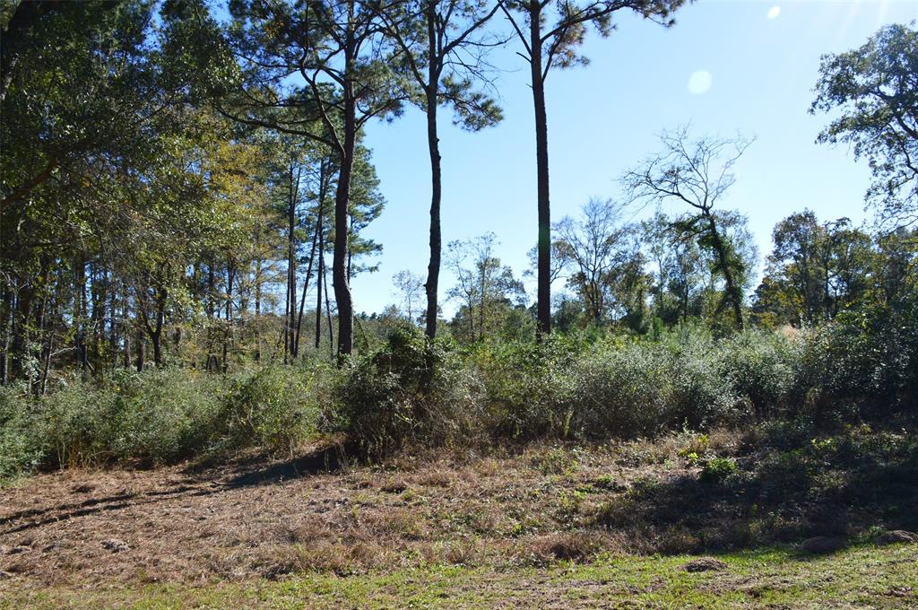 Tract #1 County Road 302, Plantersville, Texas image 3