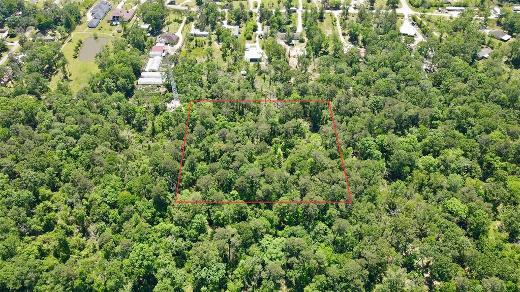 00 Brook Forest, New Caney, Texas image 4
