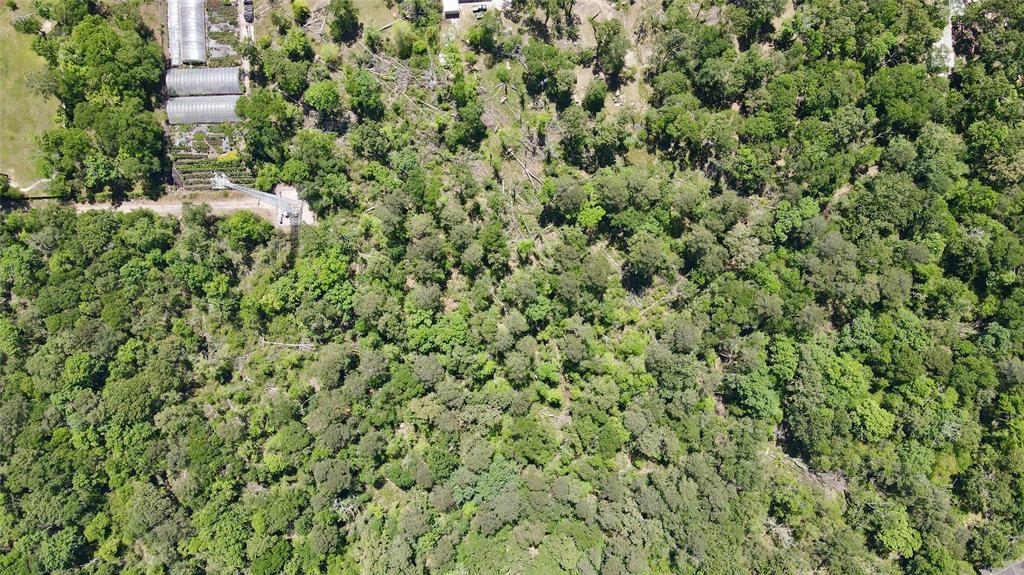 00 Brook Forest, New Caney, Texas image 8