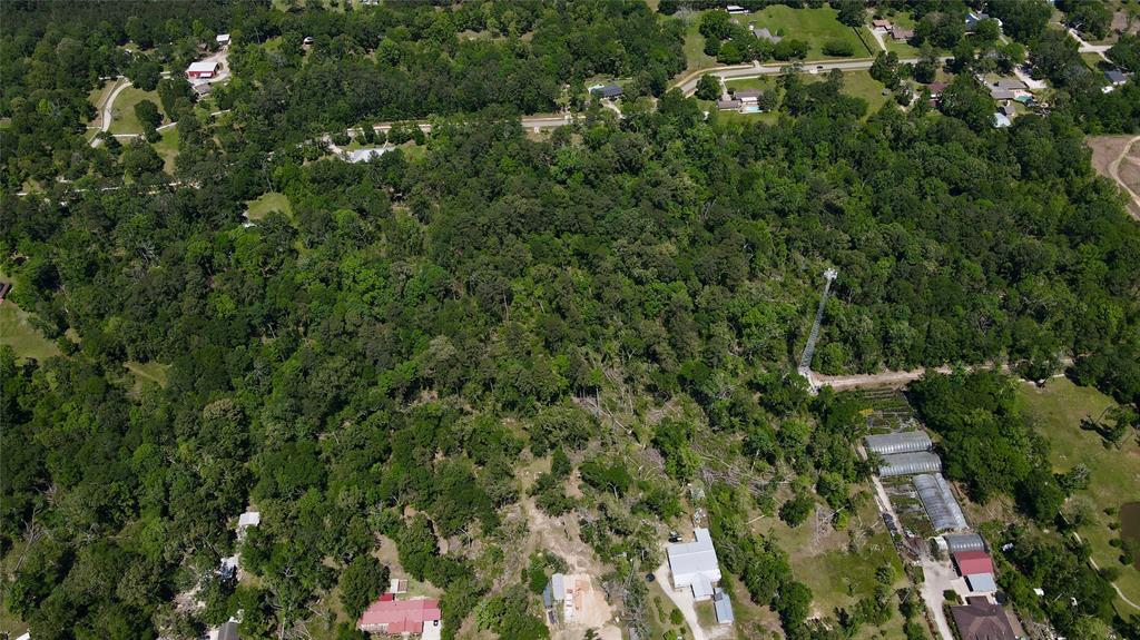 00 Brook Forest, New Caney, Texas image 3