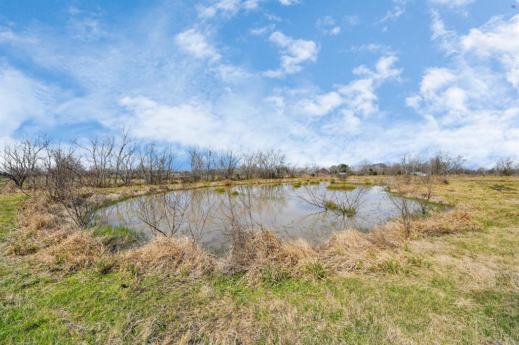 17595 Brumbelow Road, Needville, Texas image 7