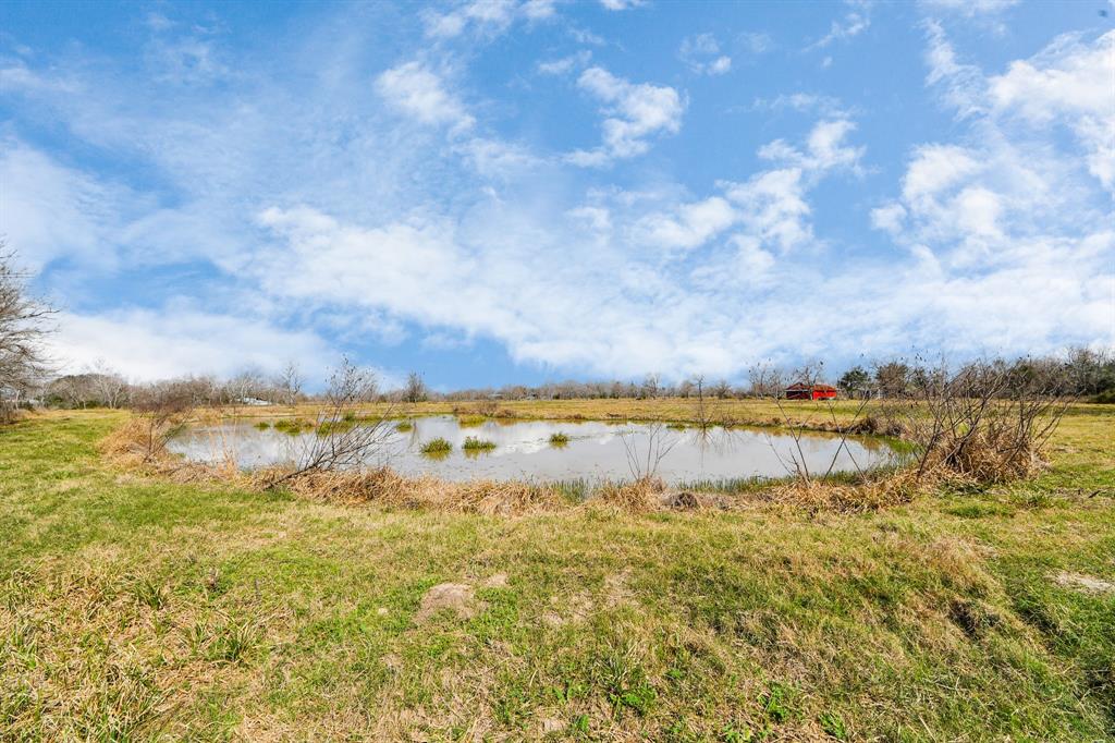 17595 Brumbelow Road, Needville, Texas image 8