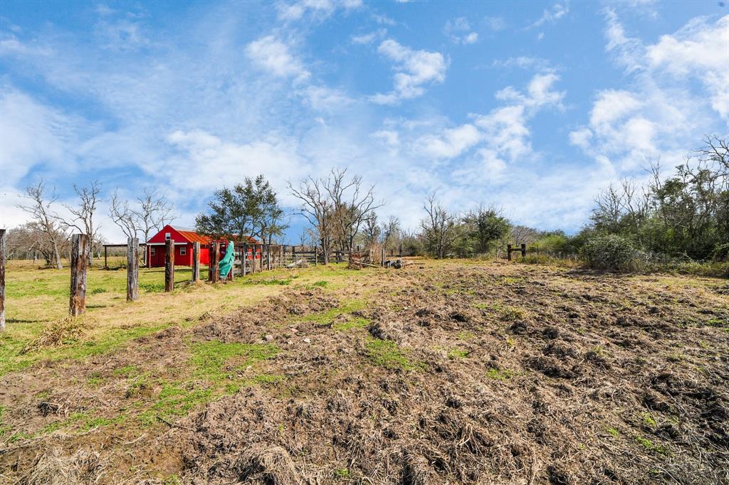 17595 Brumbelow Road, Needville, Texas image 11