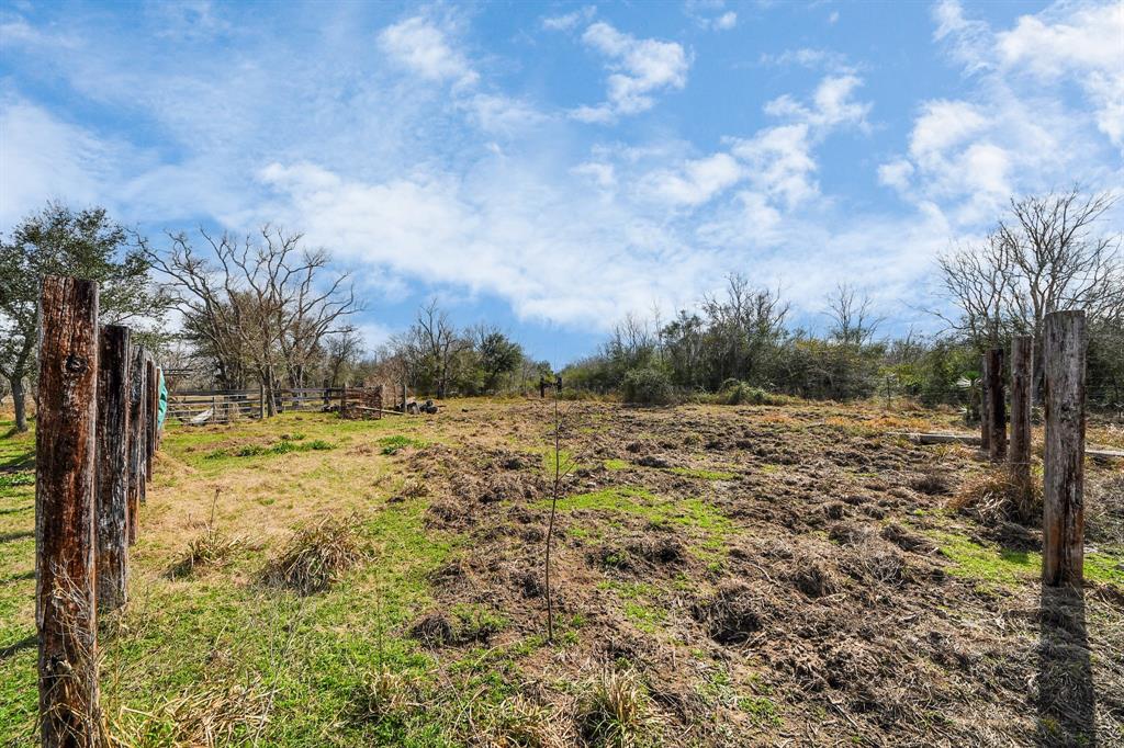 17595 Brumbelow Road, Needville, Texas image 13