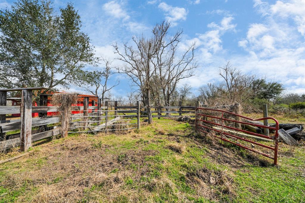 17595 Brumbelow Road, Needville, Texas image 12