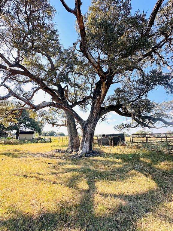 68 Thiele Road, Yoakum, Texas image 46