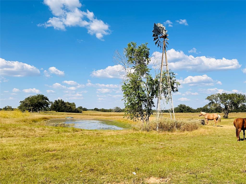 68 Thiele Road, Yoakum, Texas image 44