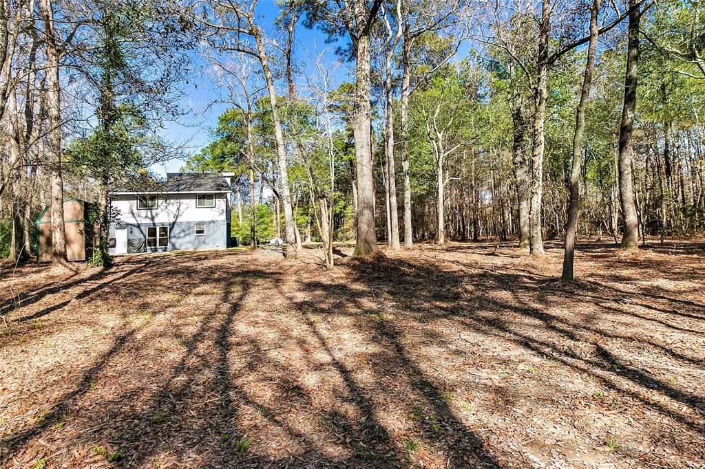 4460 Woodpeckers Grove, Cleveland, Texas image 20