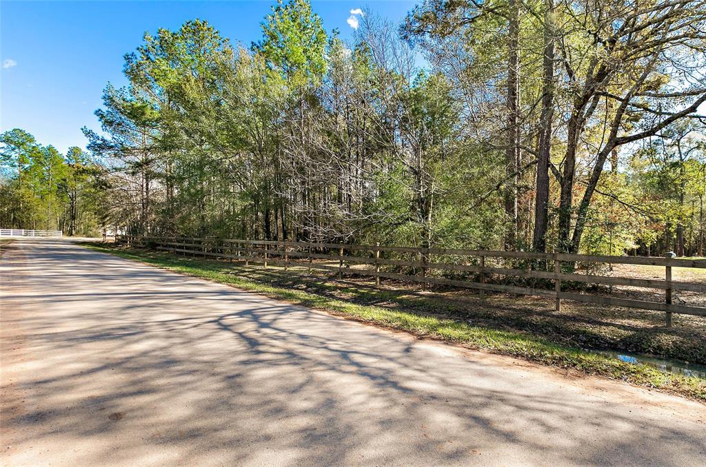 4460 Woodpeckers Grove, Cleveland, Texas image 22