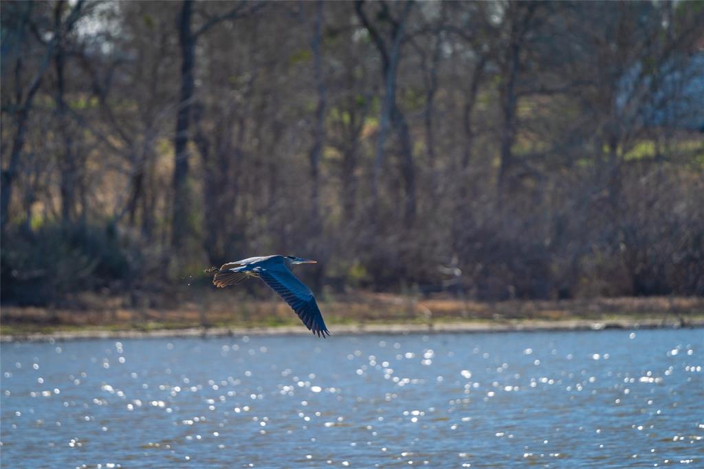 486 Highway 71, Smithville, Texas image 30