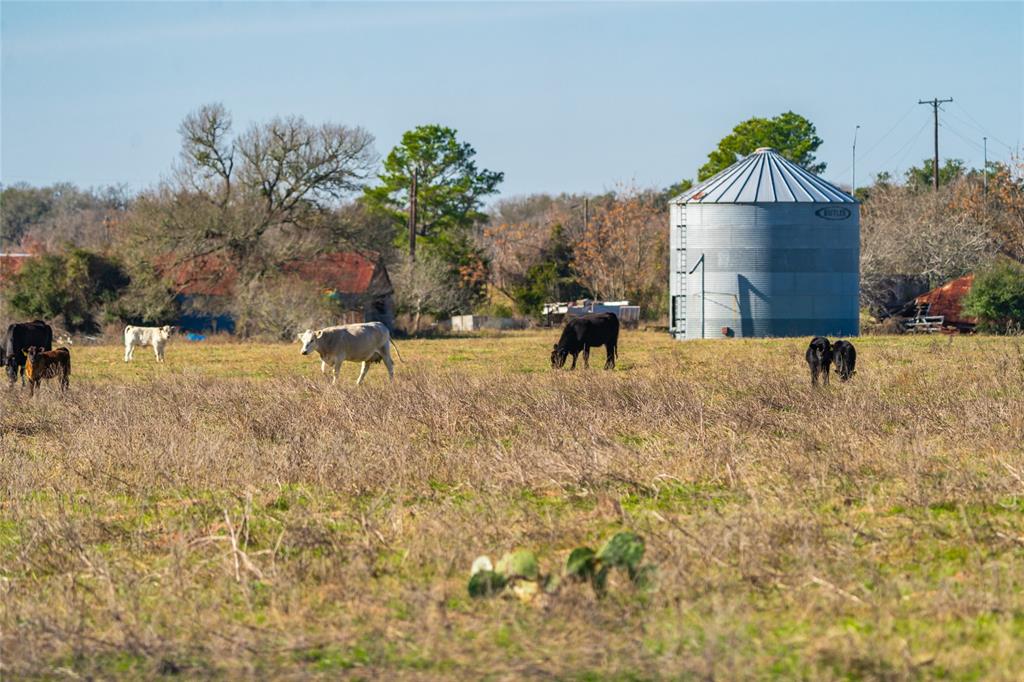 486 Highway 71, Smithville, Texas image 18