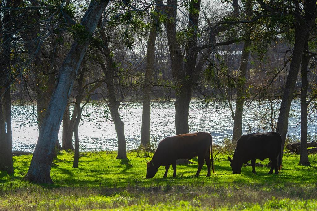 486 Highway 71, Smithville, Texas image 31