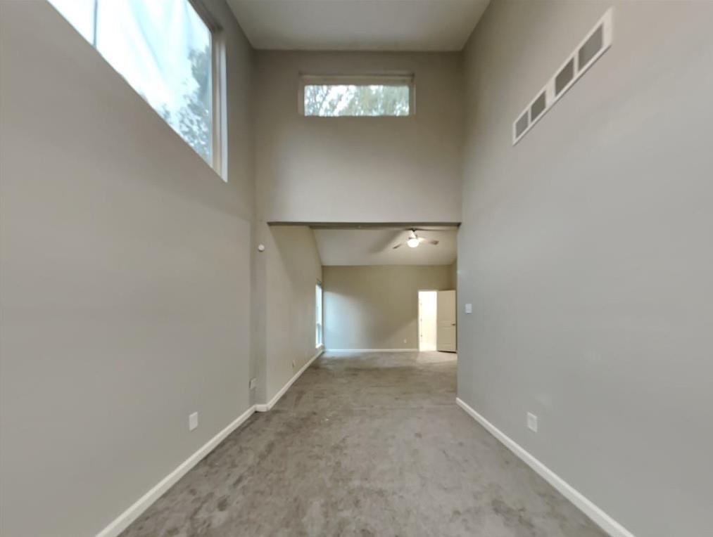 911 Bayou River Drive, Houston, Texas image 17
