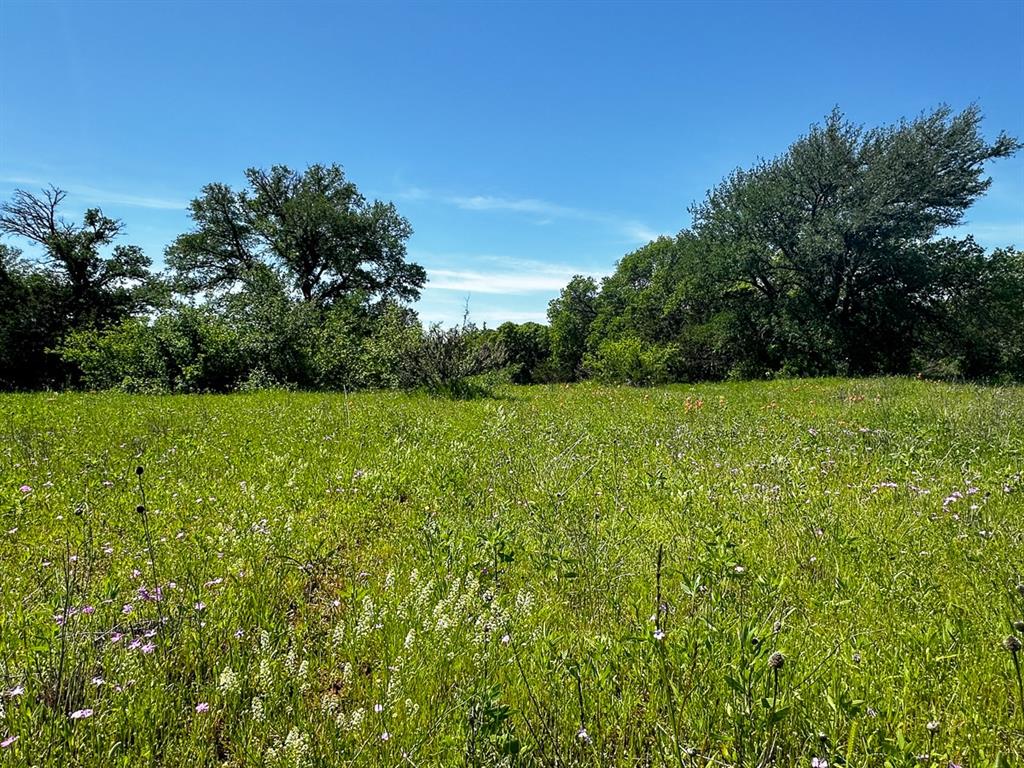 Upper Branch Way, Palo Pinto, Texas image 4