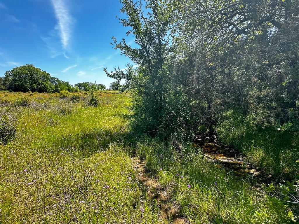 Upper Branch Way, Palo Pinto, Texas image 7