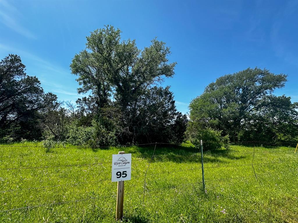 Upper Branch Way, Palo Pinto, Texas image 5