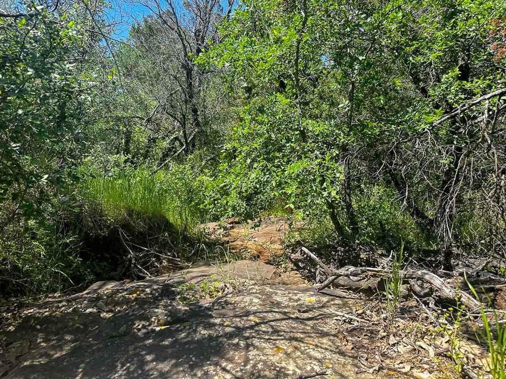 Upper Branch Way, Palo Pinto, Texas image 6