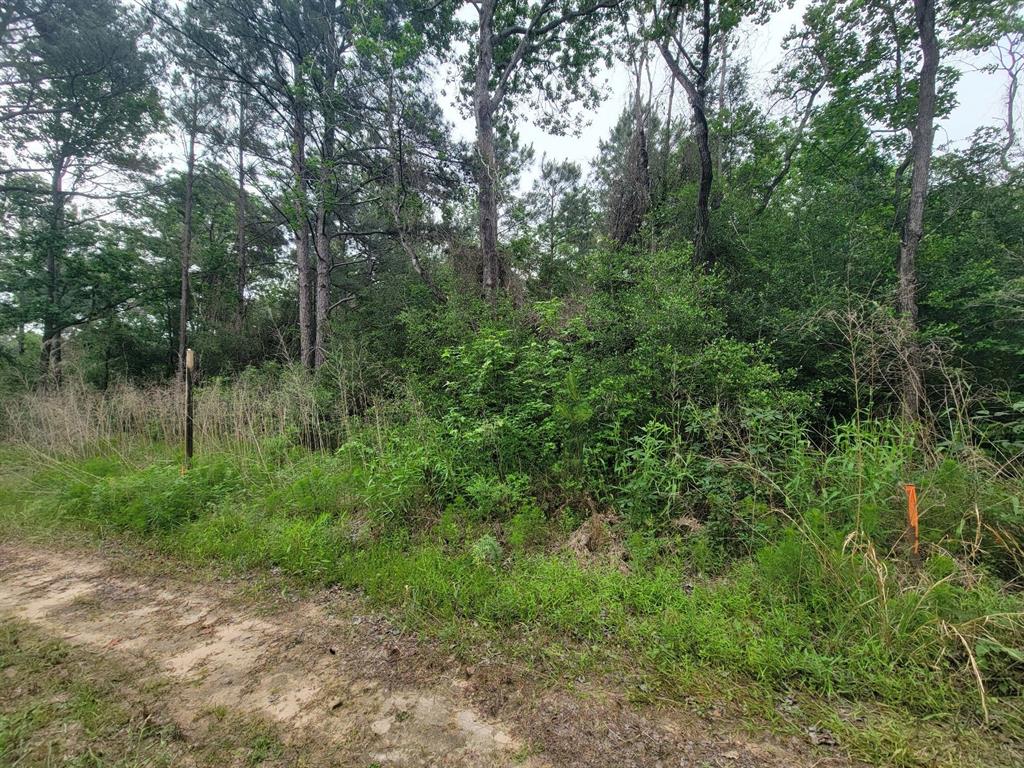 Tbd Hardy Rd, Houston, Texas image 5