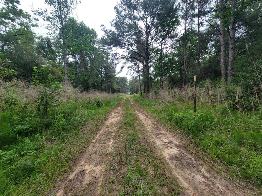 Tbd Hardy Rd, Houston, Texas image 1