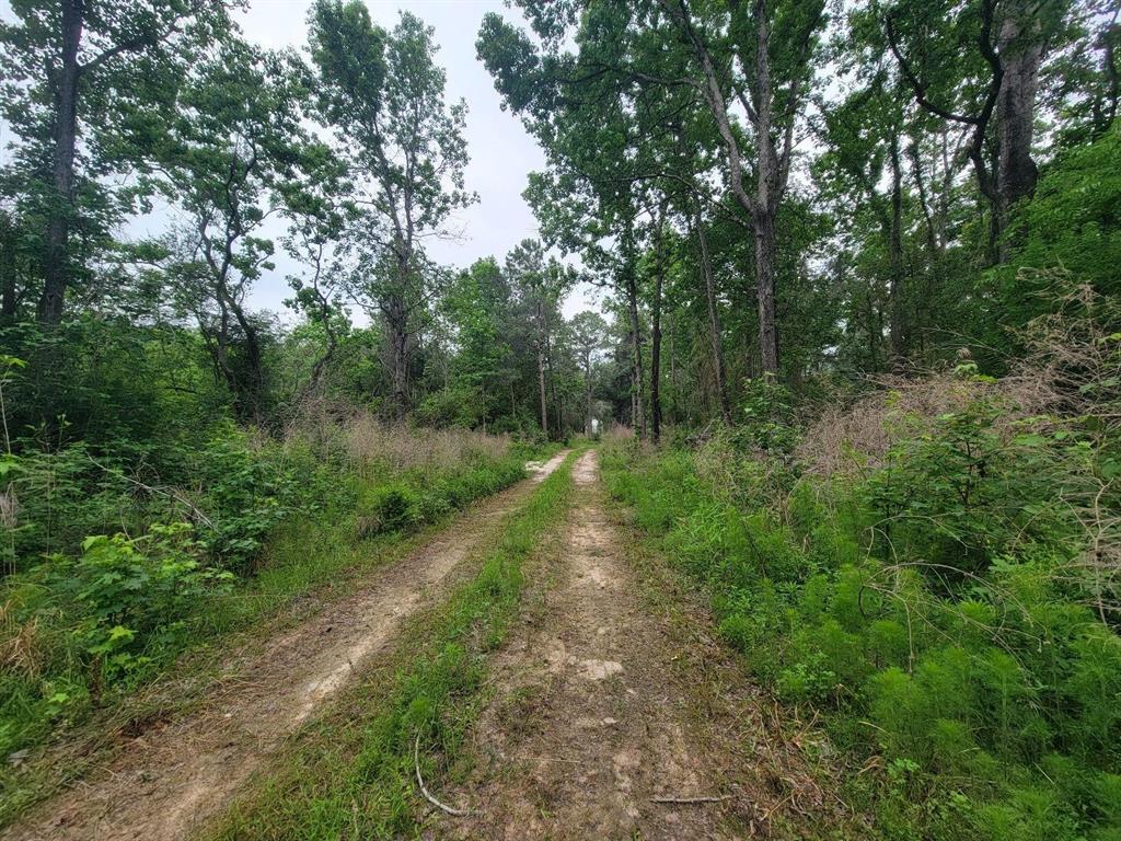 Tbd Hardy Rd, Houston, Texas image 11