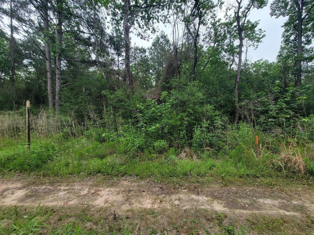 Tbd Hardy Rd, Houston, Texas image 6