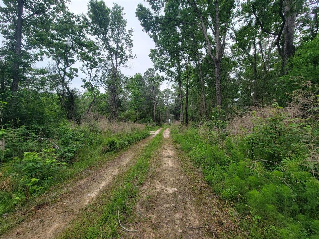 Tbd Hardy Rd, Houston, Texas image 2