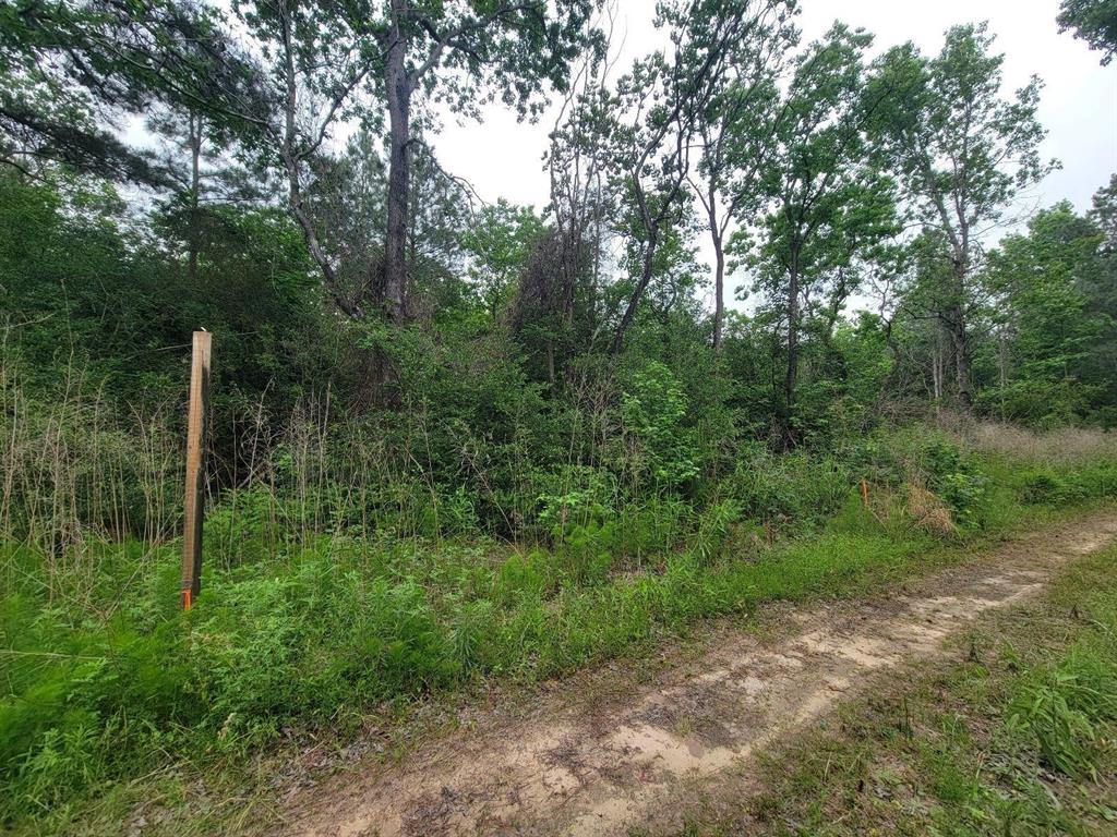 Tbd Hardy Rd, Houston, Texas image 7