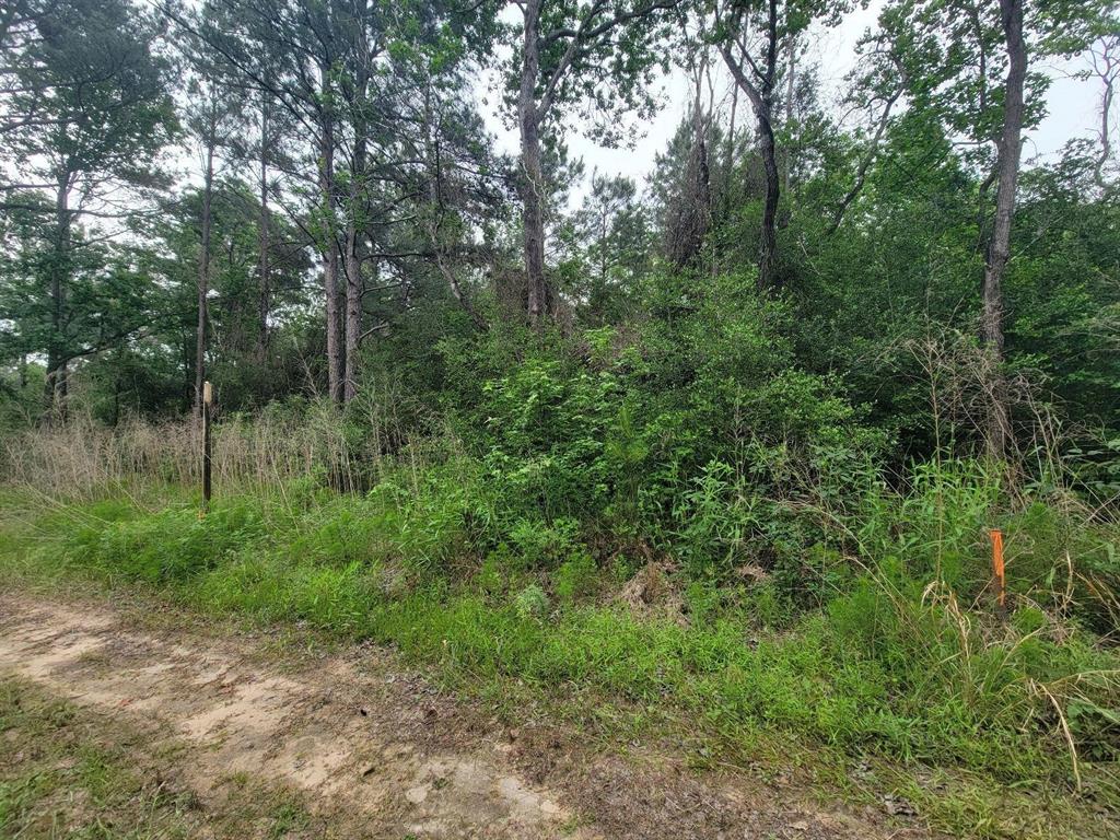 Tbd Hardy Rd, Houston, Texas image 9