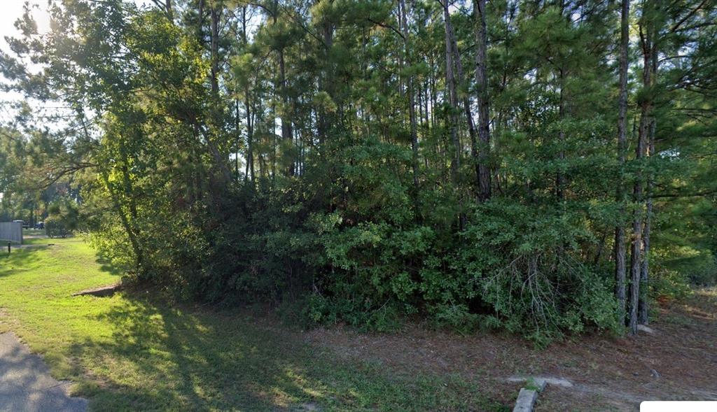 226 W Lone Oak Road, Onalaska, Texas image 2