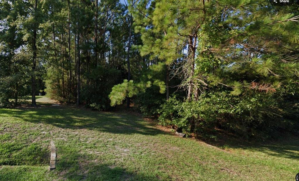 226 W Lone Oak Road, Onalaska, Texas image 3