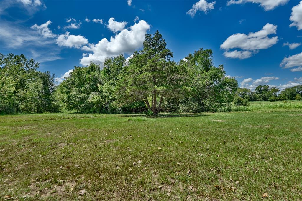 3175 Ferguson Lane, Brenham, Texas image 10