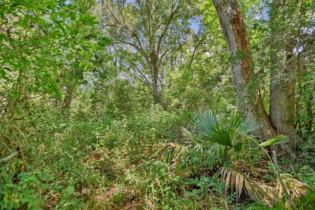 3175 Ferguson Lane, Brenham, Texas image 4