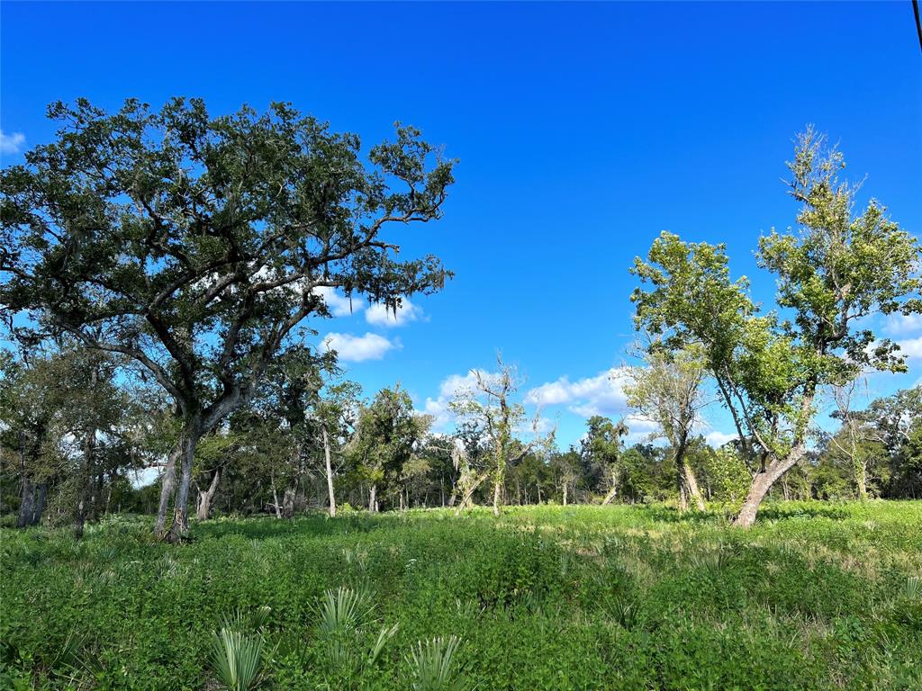 LOT 2 County Road 506, Brazoria, Texas image 4