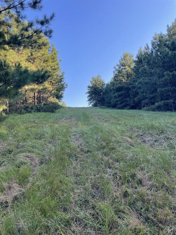 TBD (Lot 55) County Road 1060, Center, Texas image 10