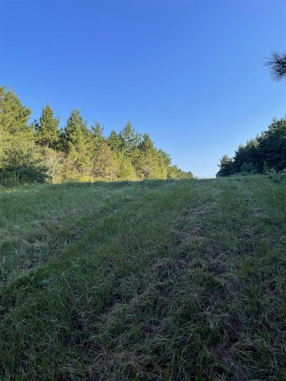 TBD (Lot 55) County Road 1060, Center, Texas image 7