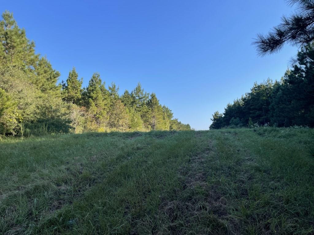 TBD (Lot 55) County Road 1060, Center, Texas image 6