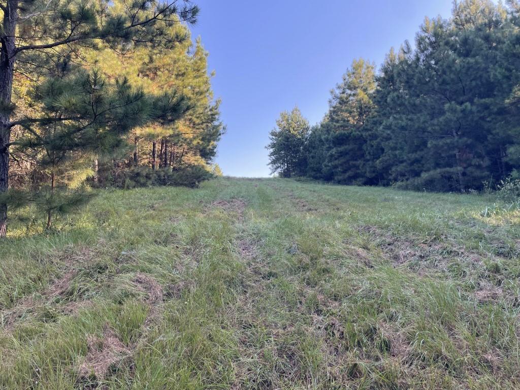 TBD (Lot 55) County Road 1060, Center, Texas image 11