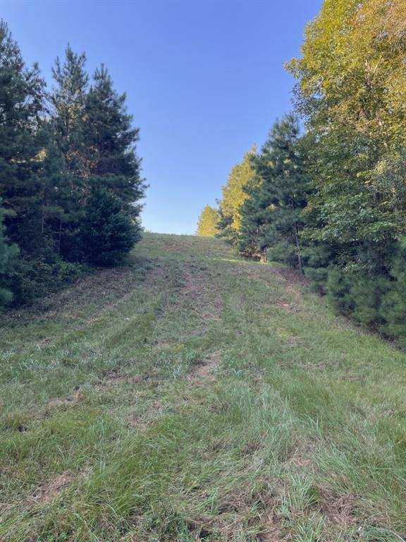 TBD (Lot 55) County Road 1060, Center, Texas image 12